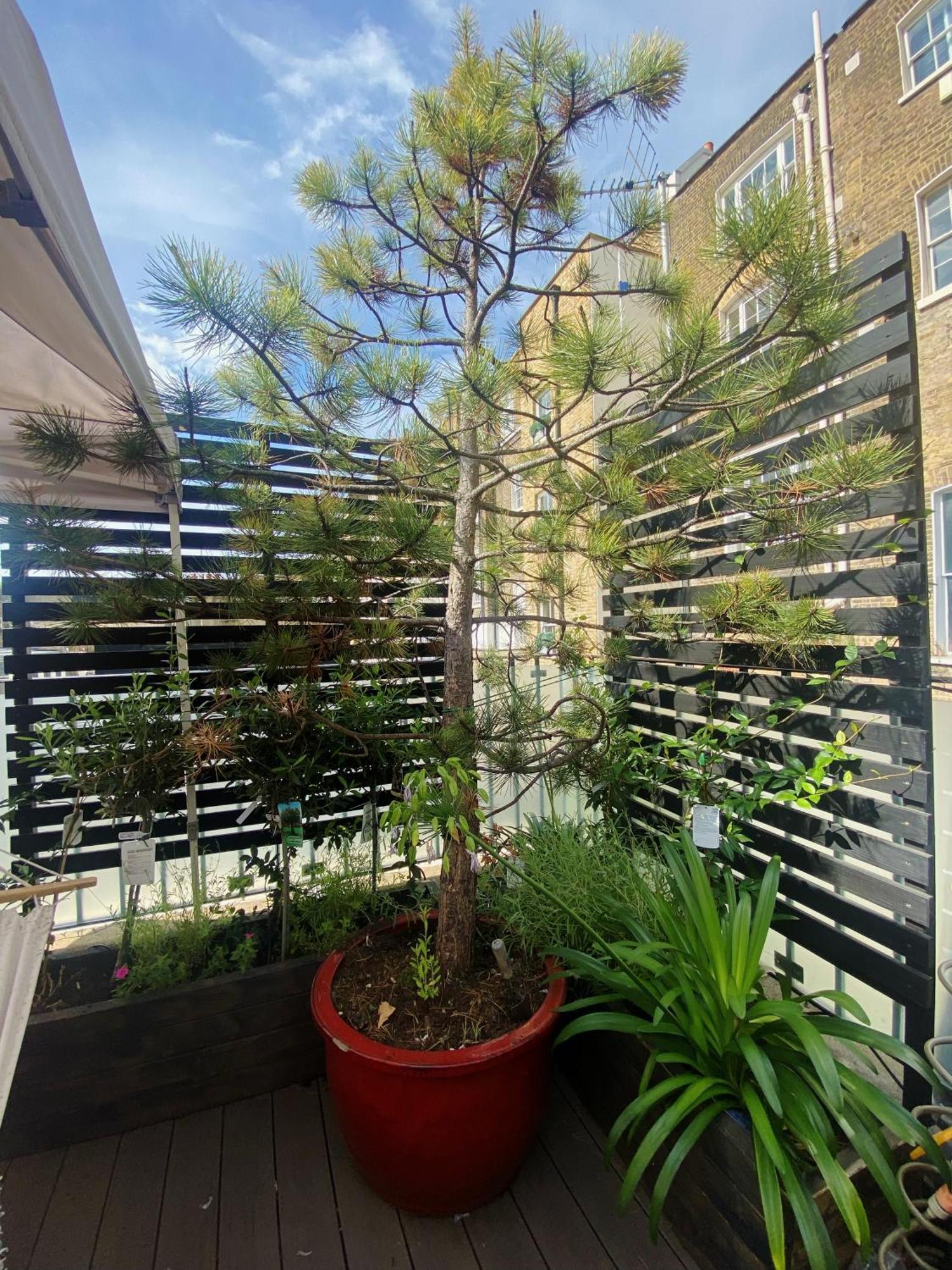 런던 Luxury Belgrave Square Private Mews Townhouse 빌라 외부 사진